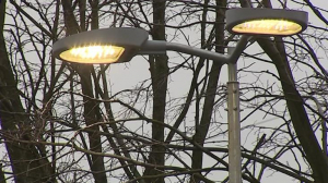 В Невском районе модернизируют систему освещения
