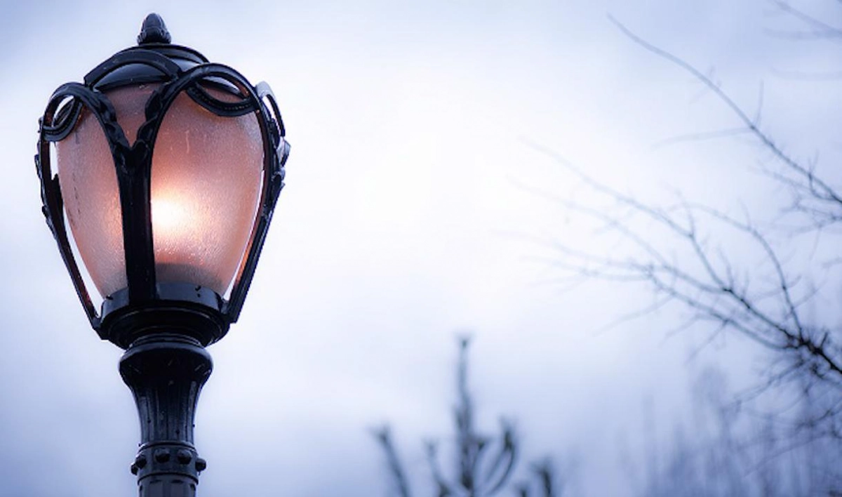 В Красногвардейском районе установят освещение на пяти улицах и в Малом Ильинском парке - tvspb.ru