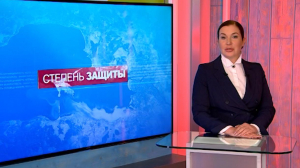 Степень защиты. 9 декабря