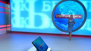 Степень защиты. 3 июня