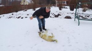 Звёздные питомцы. В гостях у актёра, режиссёра Александра Тютрюмова