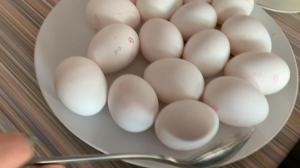 Красим яйца в домашних условиях