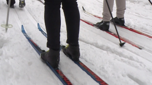На лыжню с ветерком: «Лыжные стрелы» отвезут любителей зимнего спорта в Токсово и Шапки