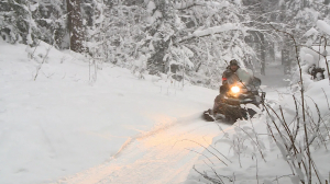 Русская Швейцария: живописный край хвойных лесов и озёр в 103 метрах над уровнем моря — это Токсовские высоты
