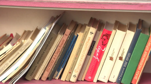 Буккросинг на колёсах