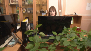 Озеленяем, энергосберегаем и заводим полезные привычки: как превратить рабочее пространство в эко-офис