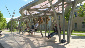 Оставим Невский туристам: новые общественные пространства завоёвывают любовь петербуржцев