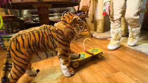 Дружба больших и малых. Как собаки уживаются с символом наступающего года