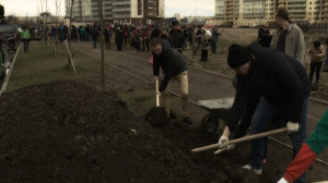 Аллея Славы в посёлке Мурино зазеленеет. Петербуржцы сажают деревья ко Дню Победы