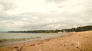 Купаться разрешается: обзор лучших пляжей Петербурга всех времён