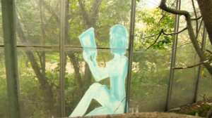 Призраки прошлого на стёклах заброшенных теплиц Таврического сада