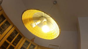 Береги энергию: как хорошая привычка пополняет кошелёк и спасает природу