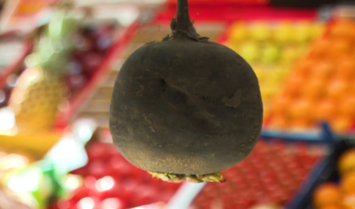 Врач объяснила, почему стоит съесть редьку прямо сейчас - tvspb.ru