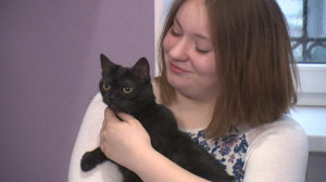 Как уберечь своего питомца от недобросовестных ветеринаров?