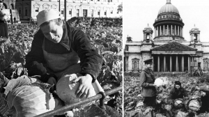 Всероссийский институт генетических ресурсов растений имени Н.И. Вавилова — знаменитый ВИР во время блокады