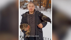 Необычные друзья из Коломны: кошка Уша, Ворона и их хозяин Владимир