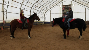 Спорт с элементами шоу. Вольтижировка помогает развить мышцы, баланс и наладить связь с лошадью