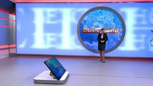 Степень защиты. 29 января