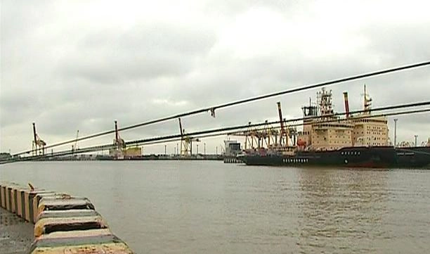 В петербургском порту задержали более 9 тонн кошачьего корма - tvspb.ru