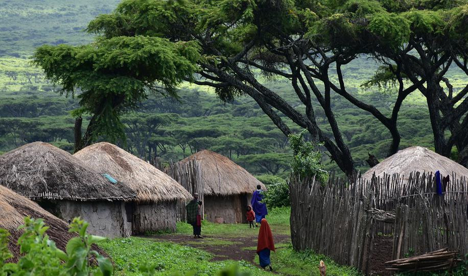 Роспотребнадзор следит за ситуацией с массовыми заболеваниями в Танзании