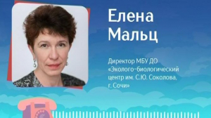 Елена Мальц, директор эколого-биологического центра в Сочи об экологической ситуации на Черном море