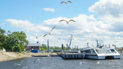 Петербургу обещают июньские температурные рекорды