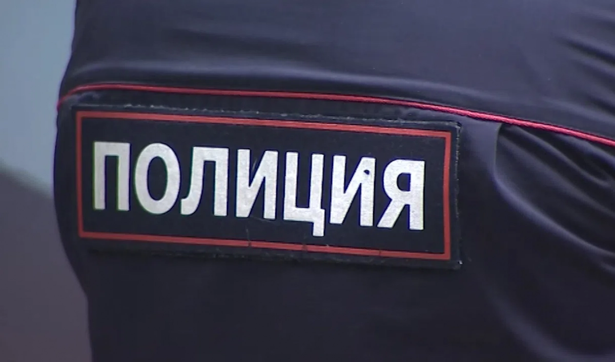 Полиция ищет неизвестных, отобравших у петербургского бизнесмена сумку с 13 млн рублей - tvspb.ru