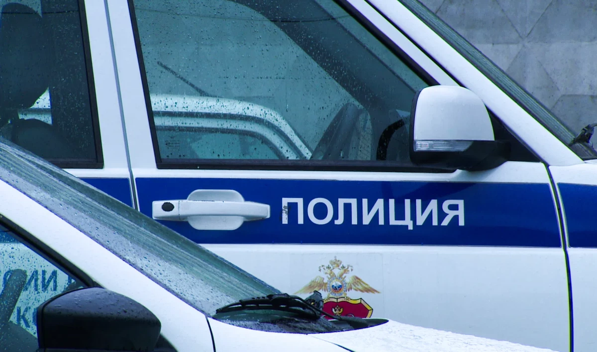 Полицейские задержали мошенника, обманувшего пожилую петербурженку на 300 тысяч рублей - tvspb.ru