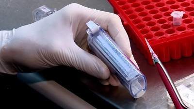 В России создали тест, анализирующий эффективность антител