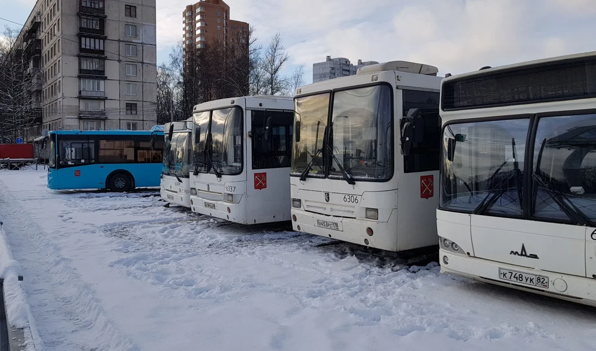 Автобусы №271 начнут ездить от метро «Парнас» до Ладожского вокзала в июле  | Телеканал Санкт-Петербург