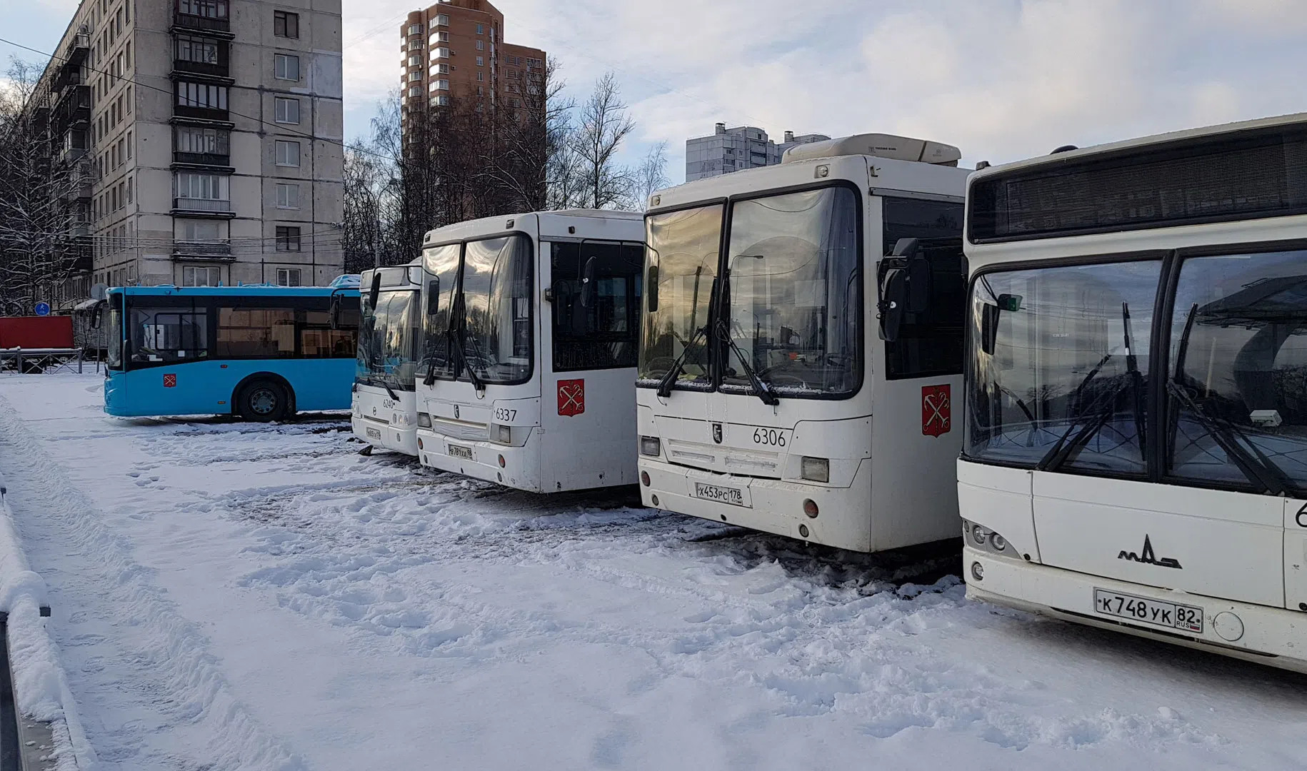 Новый автобус №251 свяжет север и юг Выборгского района