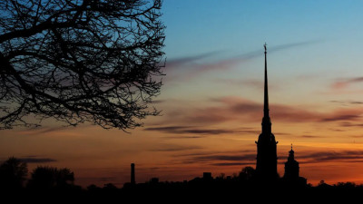 Лисовец заявил, что Петербург вышел на высокое плато по COVID-19