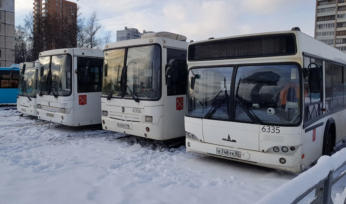 Новый автобус свяжет Кронштадт с «Проспектом Просвещения» - tvspb.ru