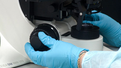 Ученым впервые удалось вырастить растения в лунном грунте