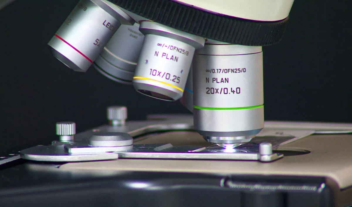 Петербург реализует новые проекты в рамках Десятилетия науки и технологий - tvspb.ru