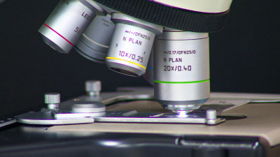 Петербург реализует новые проекты в рамках Десятилетия науки и технологий