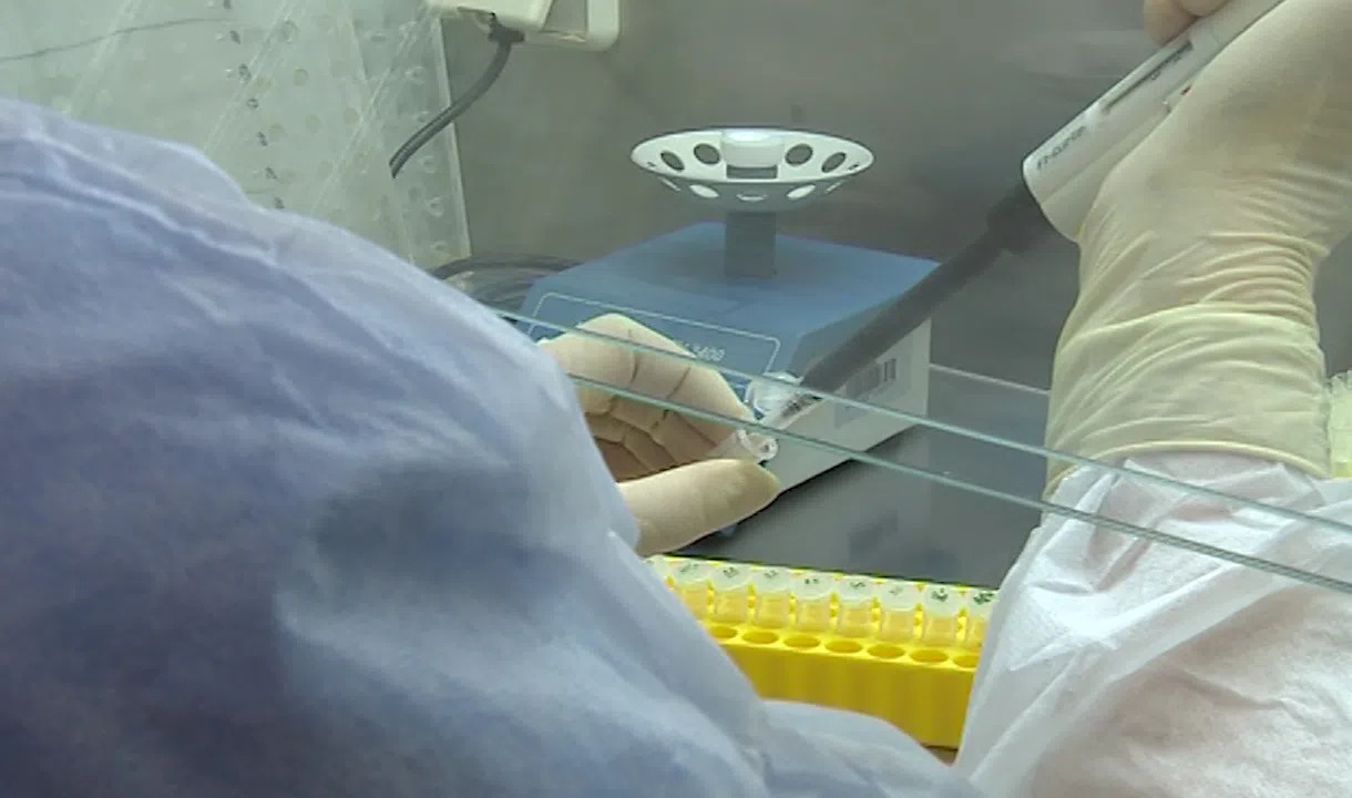 Назальную вакцину «Спутник V» направили на клинические испытания