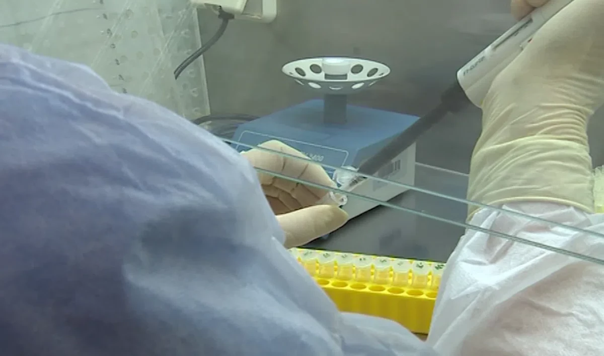 Назальную вакцину «Спутник V» направили на клинические испытания - tvspb.ru