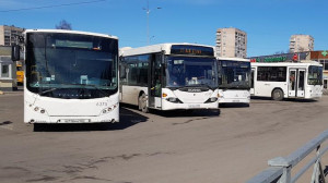 В Пушкине меняются места посадки в автобусы
