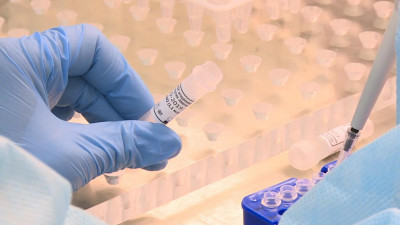 Еще более 12 тысяч человек сдали тесты на COVID в Петербурге