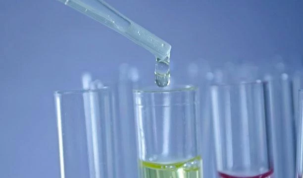 Вымирание биологических видов начнется в XXII веке, считают ученые - tvspb.ru