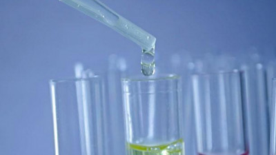 Вымирание биологических видов начнется в XXII веке, считают ученые