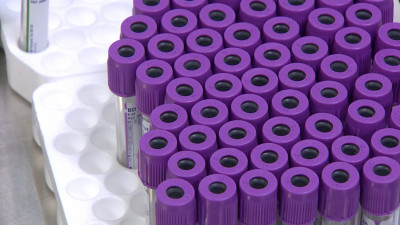 За сутки в Петербурге коронавирусом заразились еще 1 910 человек