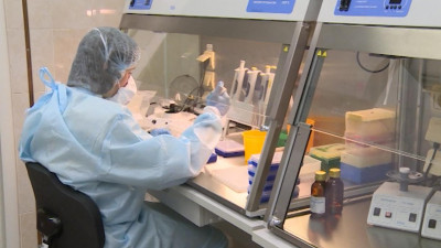 Тесты на коронавирус за сутки сдали 311 тысяч россиян