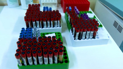 Почти 19 тысяч петербуржцев сдали тесты на COVID за сутки