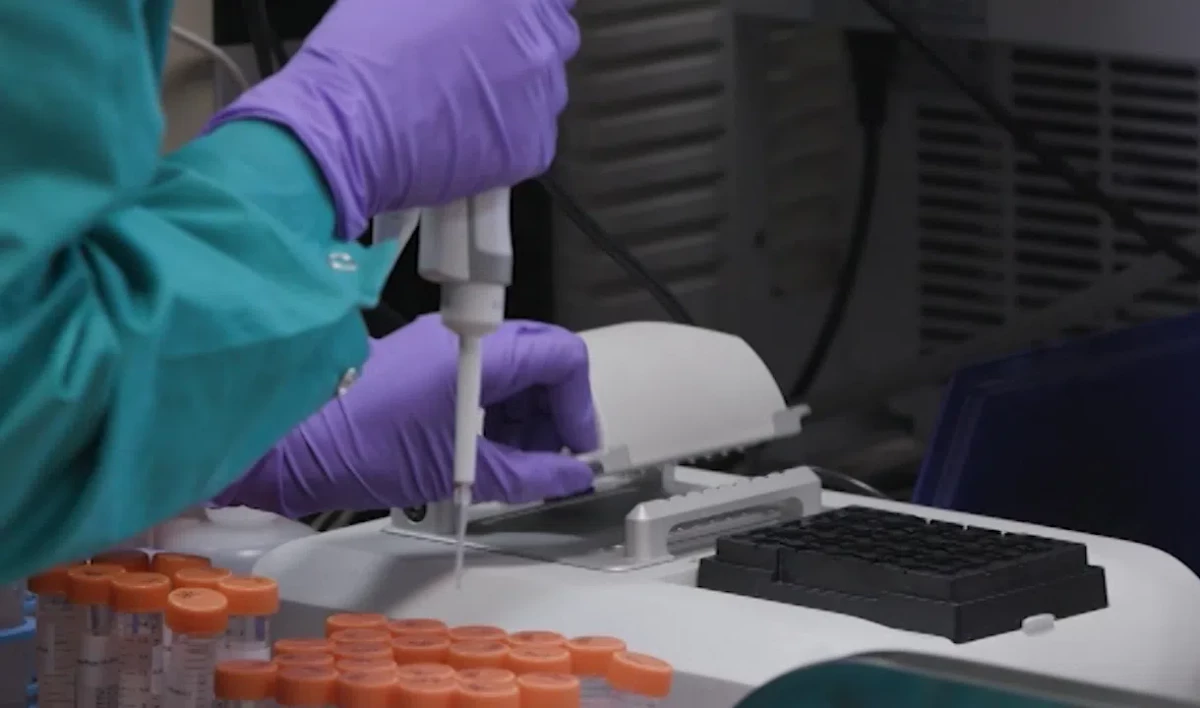 За сутки более 17 тысяч человек сдали тесты на COVID-19 в Петербурге - tvspb.ru