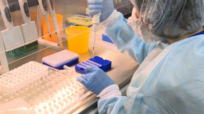 Еще более 31 тысячи человек сдали тесты на COVID в Петербурге