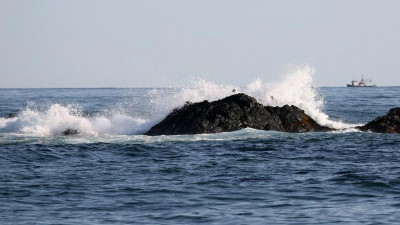 Эксперты рассказали, как ЧП на Камчатке скажется на рыбном рынке страны