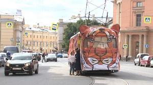 По улицам Петербурга пошел трамвай-тигр