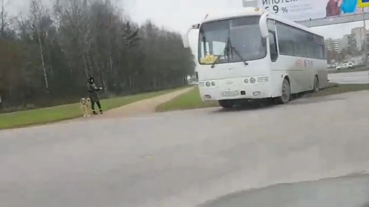 Очевидцы: В Петербурге водитель автобуса с детьми грубо нарушил ПДД - tvspb.ru